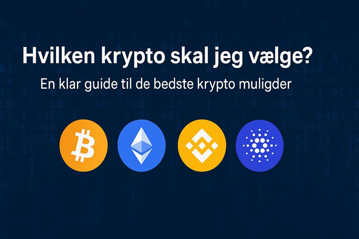 Hvilken krypto skal jeg vælge? En klar guide til de bedste krypto muligheder